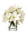 The Lush Lily Bouquet The Lush Lily Bouquet
